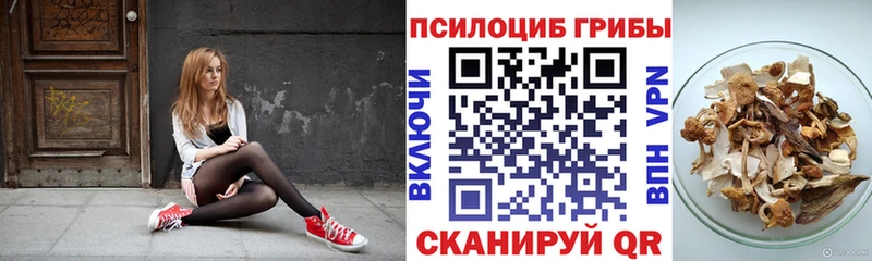 Псилоцибиновые грибы Psilocybe  kraken ONION  Губкин 